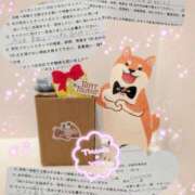 ヒメ日記 2026/02/21 20:16 投稿 奥村みさと MADAM