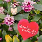 奥村みさと おはよう? MADAM