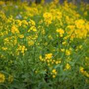 ヒメ日記 2026/02/28 13:16 投稿 奥村みさと MADAM