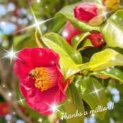 ヒメ日記 2026/02/28 21:16 投稿 奥村みさと MADAM