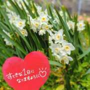 ヒメ日記 2026/03/03 08:01 投稿 奥村みさと MADAM