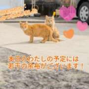 ヒメ日記 2026/03/06 06:16 投稿 奥村みさと MADAM