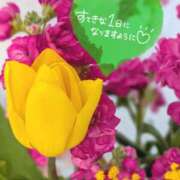 ヒメ日記 2026/03/07 07:01 投稿 奥村みさと MADAM