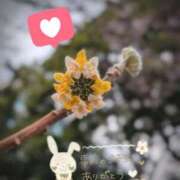 ヒメ日記 2026/03/11 06:16 投稿 奥村みさと MADAM