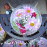 ヒメ日記 2026/03/11 22:16 投稿 奥村みさと MADAM