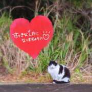 ヒメ日記 2026/03/22 07:31 投稿 奥村みさと MADAM