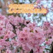 ヒメ日記 2026/03/25 11:31 投稿 奥村みさと MADAM