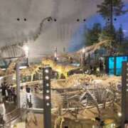 ヒメ日記 2026/03/28 13:46 投稿 奥村みさと MADAM