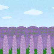 ヒメ日記 2026/03/29 13:01 投稿 奥村みさと MADAM