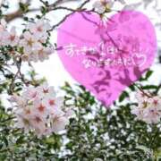 ヒメ日記 2026/03/31 06:16 投稿 奥村みさと MADAM