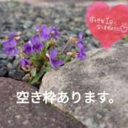 ヒメ日記 2026/04/01 06:16 投稿 奥村みさと MADAM