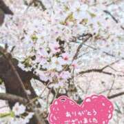 ヒメ日記 2026/04/02 21:16 投稿 奥村みさと MADAM