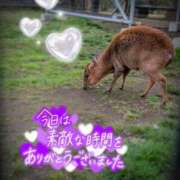 ヒメ日記 2026/04/06 17:31 投稿 奥村みさと MADAM