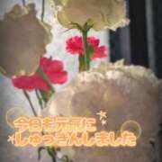 ヒメ日記 2026/04/08 12:31 投稿 奥村みさと MADAM