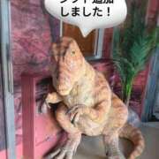 ヒメ日記 2026/04/11 16:46 投稿 奥村みさと MADAM