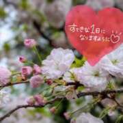 ヒメ日記 2026/04/15 07:31 投稿 奥村みさと MADAM