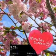 ヒメ日記 2026/04/16 08:46 投稿 奥村みさと MADAM