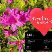 ヒメ日記 2026/04/17 08:31 投稿 奥村みさと MADAM