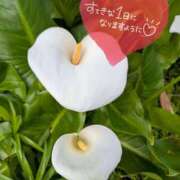 ヒメ日記 2026/04/20 08:46 投稿 奥村みさと MADAM