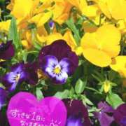 ヒメ日記 2026/04/22 09:16 投稿 奥村みさと MADAM