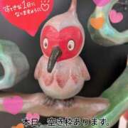 ヒメ日記 2026/04/24 06:16 投稿 奥村みさと MADAM