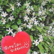 ヒメ日記 2026/04/30 09:16 投稿 奥村みさと MADAM