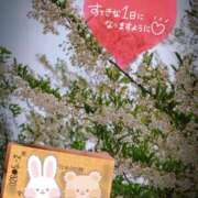 ヒメ日記 2026/05/02 06:16 投稿 奥村みさと MADAM