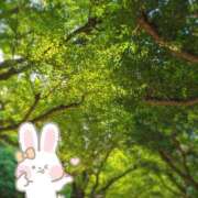 ヒメ日記 2026/05/05 20:46 投稿 奥村みさと MADAM