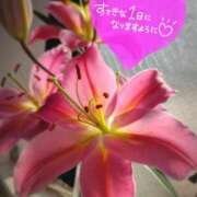 ヒメ日記 2026/05/12 06:16 投稿 奥村みさと MADAM