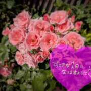 ヒメ日記 2026/05/15 06:16 投稿 奥村みさと MADAM