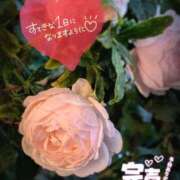 ヒメ日記 2026/05/22 06:16 投稿 奥村みさと MADAM