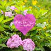 ヒメ日記 2026/05/29 06:16 投稿 奥村みさと MADAM