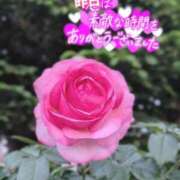 ヒメ日記 2026/05/31 15:16 投稿 奥村みさと MADAM