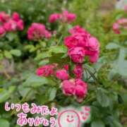 ヒメ日記 2026/06/04 20:31 投稿 奥村みさと MADAM