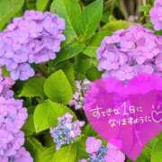 ヒメ日記 2026/06/07 06:16 投稿 奥村みさと MADAM