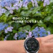 ヒメ日記 2026/06/08 12:16 投稿 奥村みさと MADAM