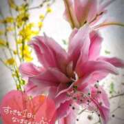 ヒメ日記 2026/06/09 06:16 投稿 奥村みさと MADAM