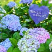ヒメ日記 2026/06/19 08:16 投稿 奥村みさと MADAM