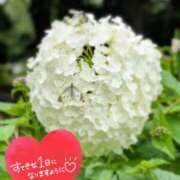 ヒメ日記 2026/06/27 09:31 投稿 奥村みさと MADAM