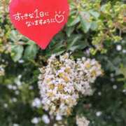 ヒメ日記 2026/06/28 06:16 投稿 奥村みさと MADAM