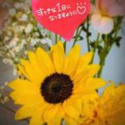 ヒメ日記 2026/07/03 06:16 投稿 奥村みさと MADAM