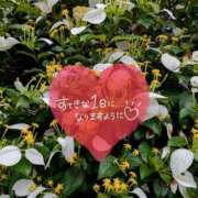 ヒメ日記 2026/07/04 06:31 投稿 奥村みさと MADAM
