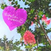 ヒメ日記 2026/07/09 06:16 投稿 奥村みさと MADAM