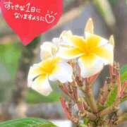 ヒメ日記 2026/07/26 06:16 投稿 奥村みさと MADAM