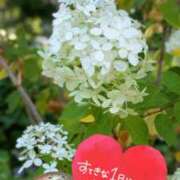 ヒメ日記 2026/07/27 07:01 投稿 奥村みさと MADAM
