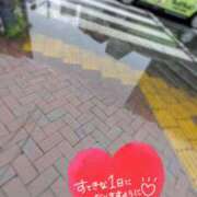 ヒメ日記 2026/07/28 08:31 投稿 奥村みさと MADAM