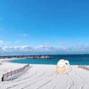 ヒメ日記 2026/07/31 12:16 投稿 奥村みさと MADAM