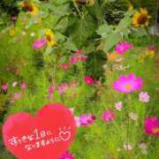 ヒメ日記 2026/08/24 08:16 投稿 奥村みさと MADAM