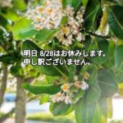 ヒメ日記 2026/08/27 12:46 投稿 奥村みさと MADAM