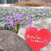ヒメ日記 2026/08/30 07:31 投稿 奥村みさと MADAM